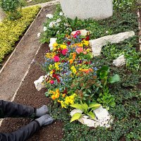 Landesgartenschau Bad Nenndorf 2026